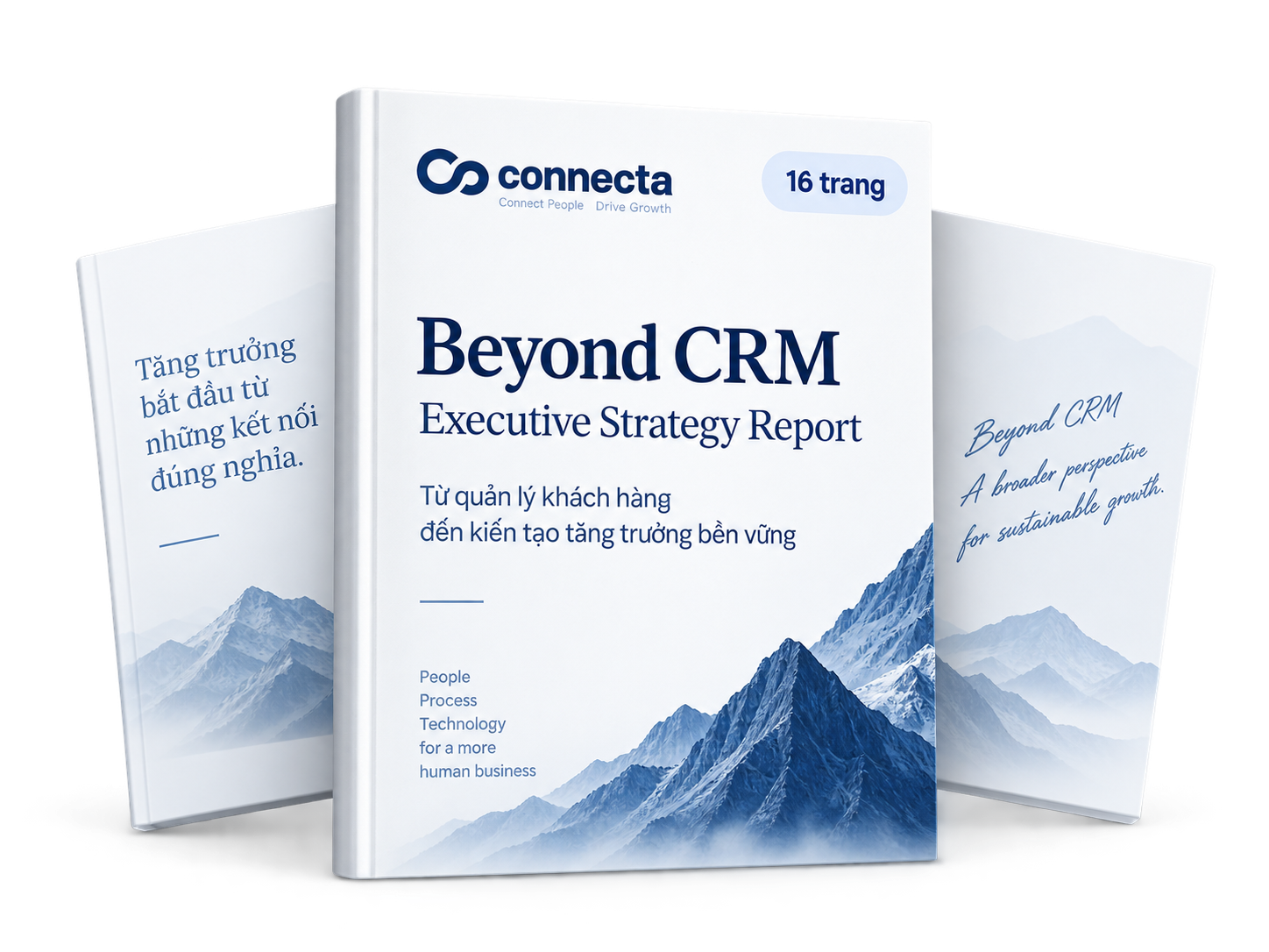 Bộ báo cáo Beyond CRM — Connecta Executive Strategy Report