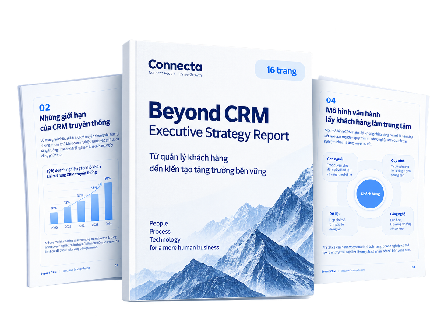 Xem trước bìa và các trang trong báo cáo Beyond CRM